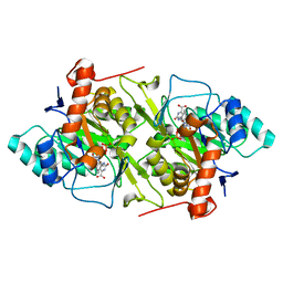 AU of 1jrc by Molmil