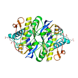 BU of 1jtu by Molmil