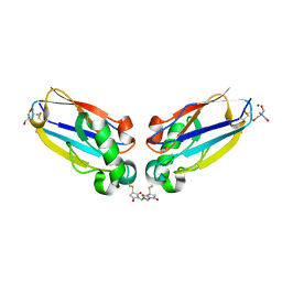 BU of 1jvl by Molmil