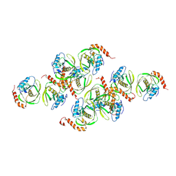 BU of 1jym by Molmil