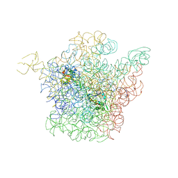 AU of 1k00 by Molmil