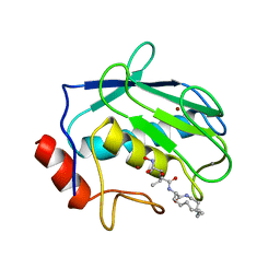 BU of 1kbc by Molmil