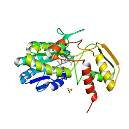 AU of 1kc0 by Molmil