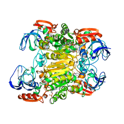 BU of 1kev by Molmil