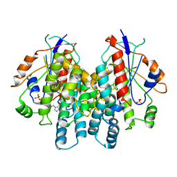 AU of 1ki5 by Molmil