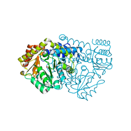 BU of 1kkp by Molmil