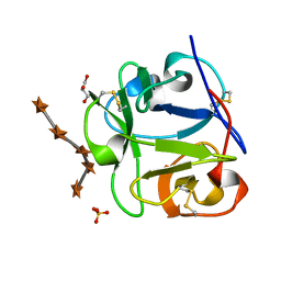 AU of 1knn by Molmil