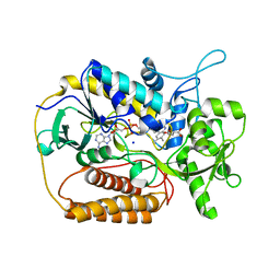 BU of 1knp by Molmil