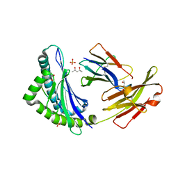 BU of 1kpv by Molmil