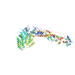 BU of 1kqm by Molmil