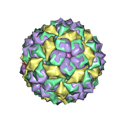 AU of 1kuo by Molmil