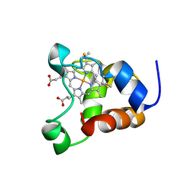 BU of 1kx2 by Molmil