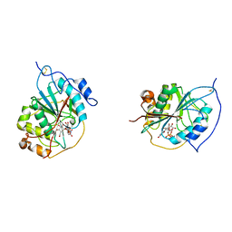 AU of 1kyb by Molmil