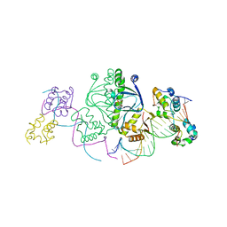 BU of 1lb2 by Molmil