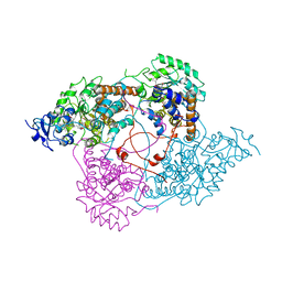 BU of 1lco by Molmil