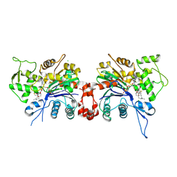 BU of 1lcu by Molmil