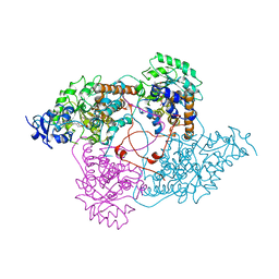 BU of 1ldc by Molmil