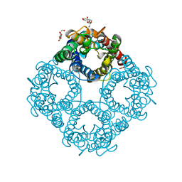 BU of 1ldi by Molmil