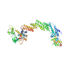 BU of 1ldk by Molmil