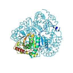 BU of 1ldm by Molmil