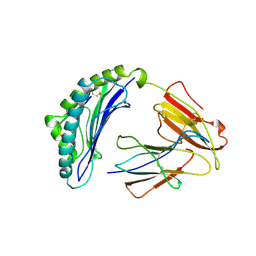 BU of 1ldp by Molmil