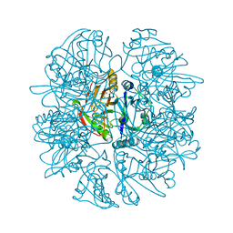 BU of 1lgt by Molmil