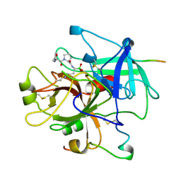 BU of 1lhg by Molmil