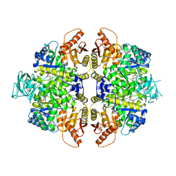 AU of 1lix by Molmil
