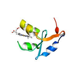 BU of 1lj0 by Molmil