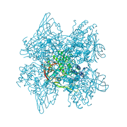 BU of 1ll1 by Molmil