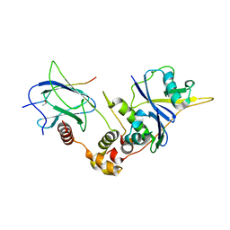 BU of 1lm8 by Molmil