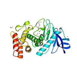 AU of 1lnb by Molmil