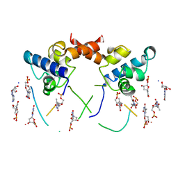 AU of 1lrd by Molmil