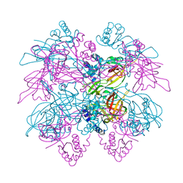 BU of 1ltl by Molmil