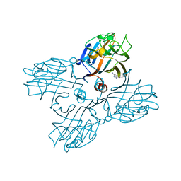 BU of 1lu1 by Molmil