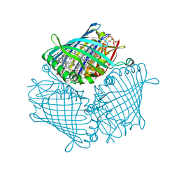 AU of 1m50 by Molmil