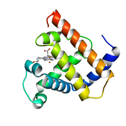 肌紅蛋白（PDB:1mbn）