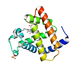 AU of 1mbw by Molmil