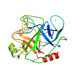 BU of 1mct by Molmil