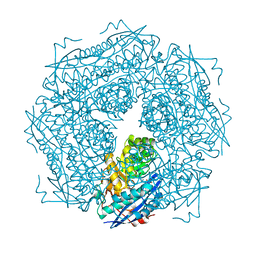 BU of 1mdl by Molmil