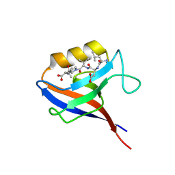 BU of 1mfl by Molmil