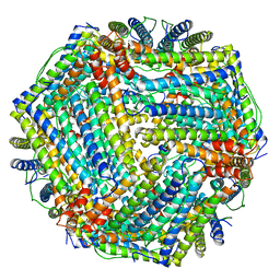 BU of 1mfr by Molmil