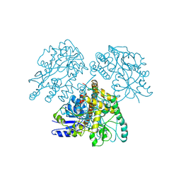 BU of 1mg1 by Molmil