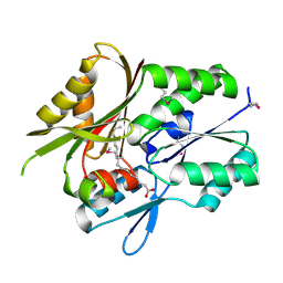 BU of 1mgp by Molmil