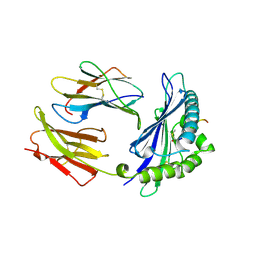 BU of 1mhc by Molmil