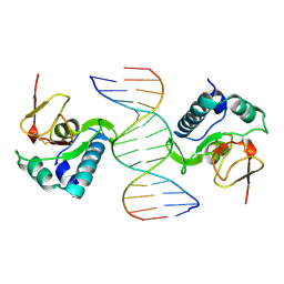 BU of 1mhd by Molmil