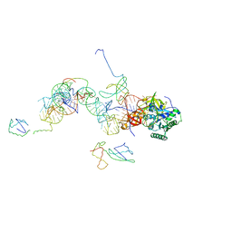 BU of 1mj1 by Molmil