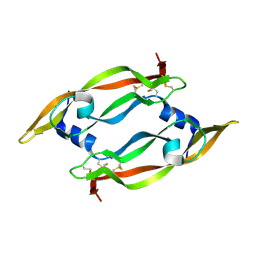 BU of 1mjv by Molmil