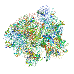 BU of 1ml5 by Molmil