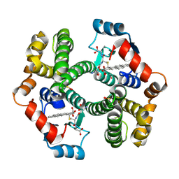 BU of 1ml6 by Molmil